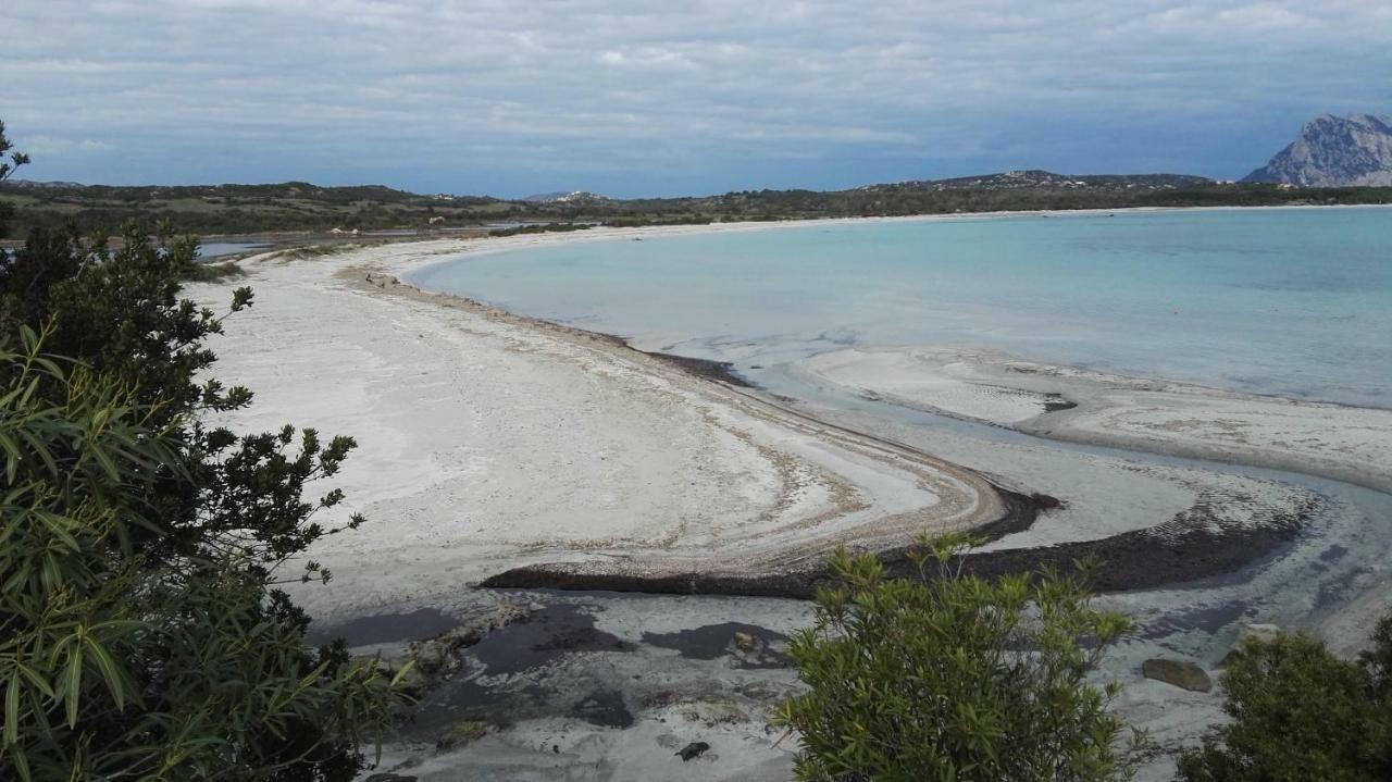 Appartamenti Sardegna Porto San Paolo  Exterior foto